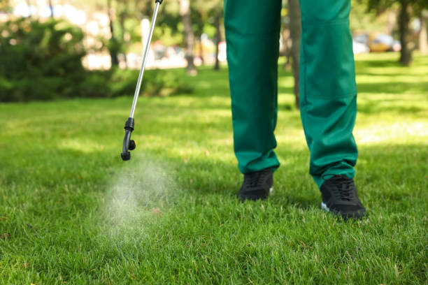 Insect Control in Abita Springs, LA