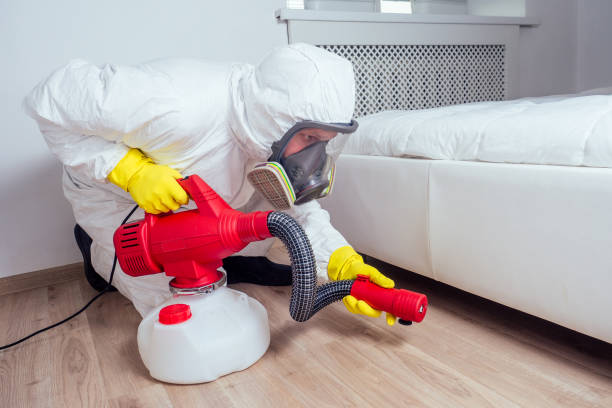 Professional Pest Control in Abita Springs, LA