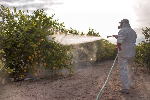 Pest Control Cost in Abita Springs, LA