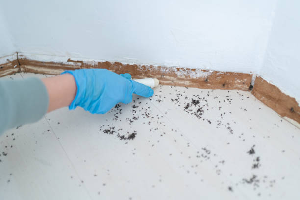 Best Commercial Pest Control Services  in Abita Springs, LA