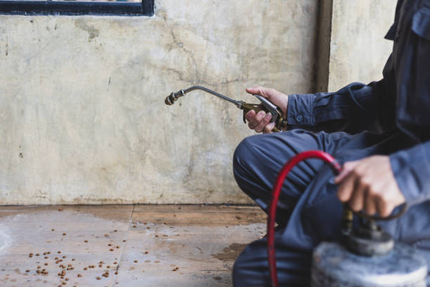 Best Pest Control for Businesses  in Abita Springs, LA